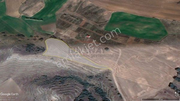 Güvenay – Çorum Serpin İlerisi 5.175 M² Satılık Tarla