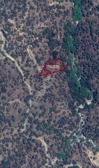 Doğayla İç İçe Yatırım Fırsatı! 901,31 M² Zeytinlik Satılık!