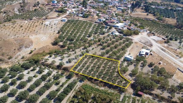 Manisa Pınarbaşın Da 1.750 M2 Zeytinlik , Arsalarla Arası 1 Parsel