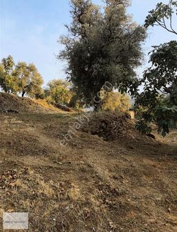 Güneş Gayrimenkulden Tire Toptepe'de Manzaralı 2.355 M² Arsa