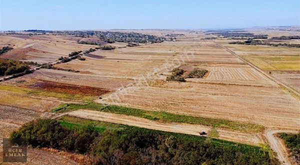 Üçer Emlak'tan Edirne Uzunköprü Muhacırkadı Satılık 3333m2 Arazi