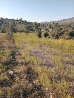 Dalaman Kayadibi Köyünde Satılık Tarla