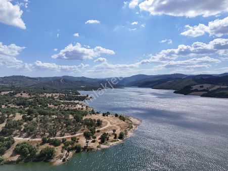 Barajın Yanında Orman Manzaralı Tarla