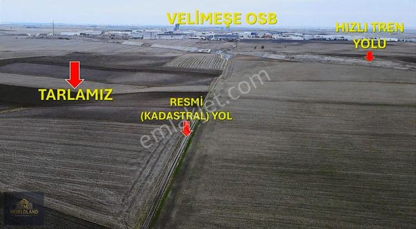 Tekirdağ Ergene Karamehmet Osb Satılık Tek Tapu Tarla