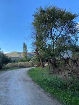 Kentmax Emlaktan Satılık Zeytin