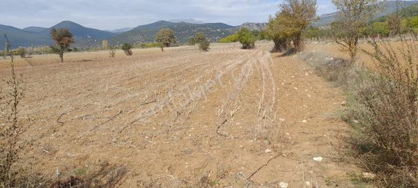Burdur Ağlasun Hisarköy'de 4.277 M2 Kadastro Yolu Olan Satılık Arazi
