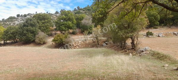 Burdur Ağlasun Hisarköy'de 12.390m2 Satılık Arazi