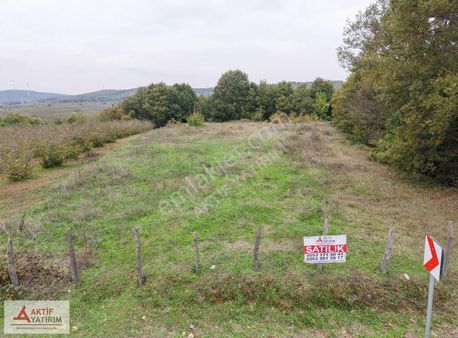 Ünlü Sardala Koyu'na 8 Dk Mesafede Asfalt Cepheli 2523 M2 Tarla