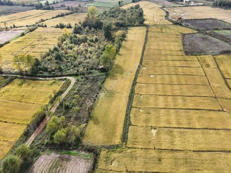 Epa Uğur'dan Düzce Merkez Konuralpte Satılık 6.940m² Ekili Tarla