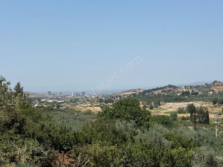 İnan Emlak Gayrimenkulde Irlamaz Koşıkırında Satılık Tarla