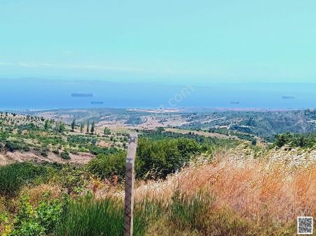 Tekirdağ Şarköy Tepeköy Yarı Fiyatına Satılık Hobi Bahçesi