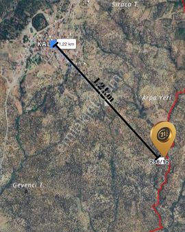 C21 Loca’dan Havran’da Zeytinlik