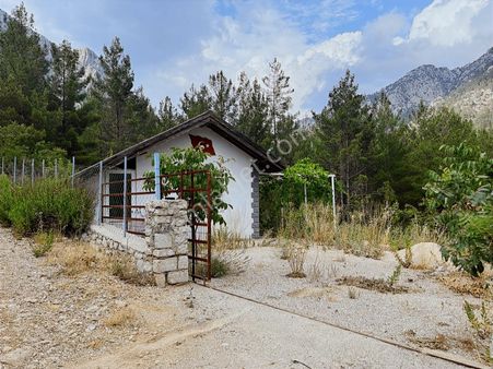 Antalya İbradı Üzümdere Mahallesi Satılık Tek Tapu Arazi