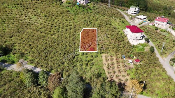 Tutkun Gayrimenkul'den Akçaabat Derecik'te 565m2 Satılık Arsa