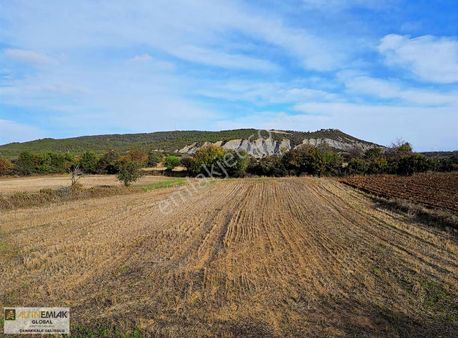 Altın Emlaktan 2500 M2 Satılık Arazi