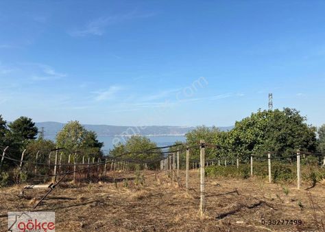 Gökçe'den Satılık Ereğli'de Deniz Manzaralı %5 İmarlı Arazi