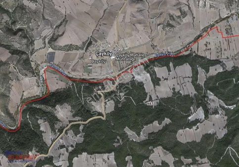 Yolu Olan Uygun Fiyatlı Tarla Manisa Kula Topuzdamları