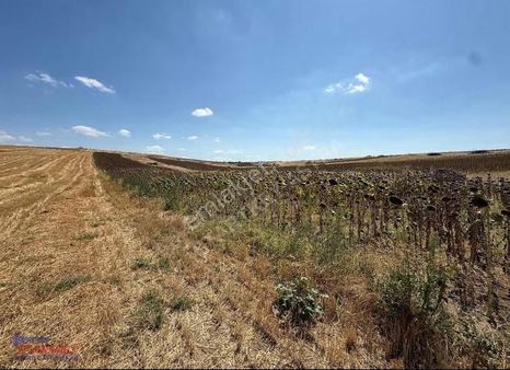 Edirne Uzunköprü Mucirkadıda Satılık Yatırımlık Arsa