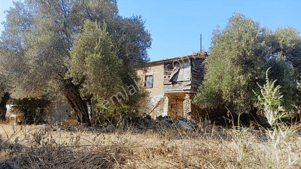 İzmir Bayındır Yusuflu Köyü Geniş Arsa Ve Kargir Ev