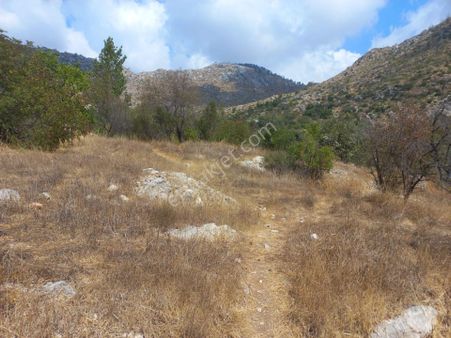 Hasancık Köyü İçi 454 M² Müstakil Tapu