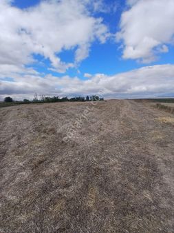 Eskisehir Beylik Ova