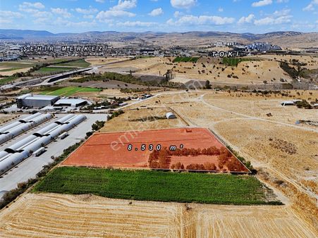 Köseler Mah. İmara Sınır - Meraya Dayalı Satılık 8.530 M² Tarla