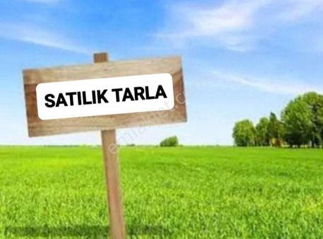 Murat Türkmen'den Ayaş_sinanlı'da Satılık Yatırıma_uygun Mükemmel_konumda 7000m2_tarla