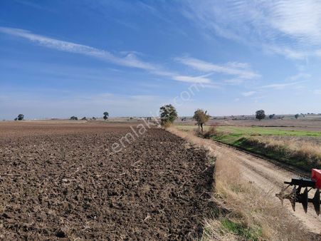 Edirne-ipsala-esetçe-satılık Arazi-ana Yola Ve Yerleşime 1 Km-tek Tapu