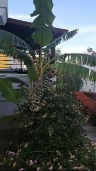 Bodrum Mumcular Merkezde Satılık Bahçe Katı Daire