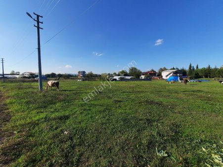 Basiskele Kullar'da Satilik 625 M2 İmarli Arsa