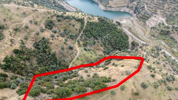 Yaylapınar Mahallesinde Baraj Manzaralı Satılık Zeytinlik