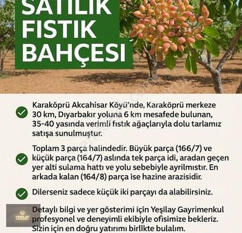 Yeşilay Gayrimenkulden Akçahisarda Satılık Fıstık Bahçesi