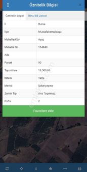 Yatırım Ve Tarım İçin Kaçırılmayacak Fırsat – 19.500 M² Zeytinlik