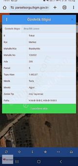 Vadi Emlak'ta Satılık Tek Tapu Tarla