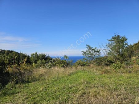 Trabzon Akçabat Ta Satılık Turizim İmarlı Arsa