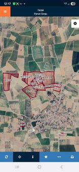 Salihli Çapaklı Mah Satılık Zeytinlik