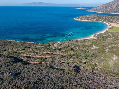 Datça Cumalı Bükceğiz Koyunda Satılık 2041 M² Denize Sıfır Tarla