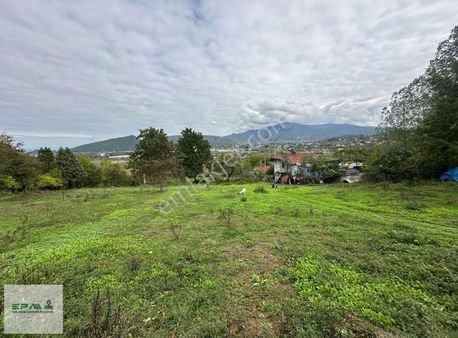 Kuzuluk'ta Satılık 3000m2 Arsa