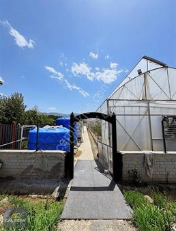 Tokat-turhal Yoluna Sıfır Konumda 7 Dönüm Tek Tapu Çilek Serası