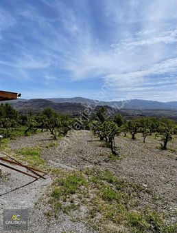 Kömeç Köyü Satılık Tek Tapu 3 Dönüm