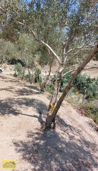 Satılık Arsa İster Hobi Bahçesi İster Hayvancılık İçin Birebir