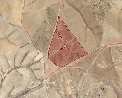 Yaşarsoy Gyo'dan K.köprü İlhan Köyünde 110 Dönüm Uygun Bademlik