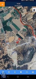 Bergama Cevaplı'da Zeytinlik