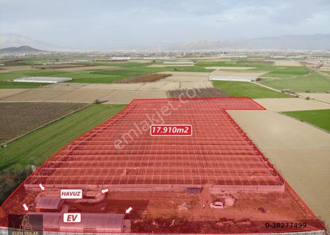 Antalya Elmalı Zümrütova Mah'de Elektriği, Sondajı Ve Yolu Bulunan 17.910m2 Kiralık Kapalı Sera