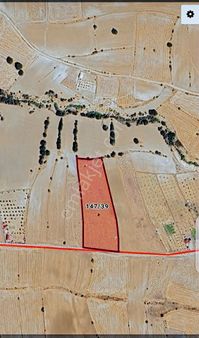 Elazığ Merkez Akmezra Satılık Tarla