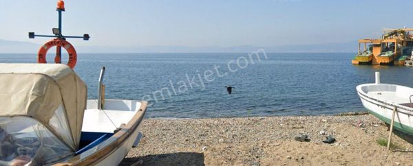 Armutlu Kapaklı Köyü Fırsat Yatırımlık Zeytinlik