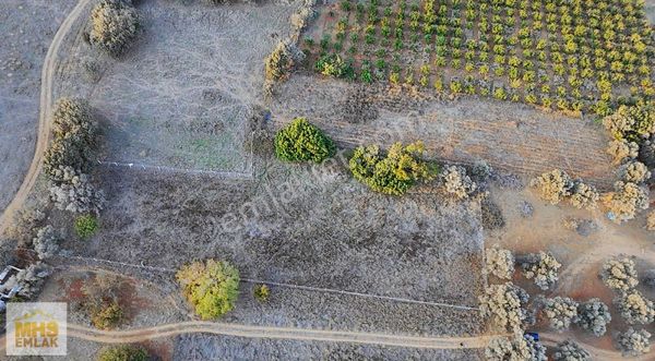 Yelki Merkezde Yatırımlık Tarla