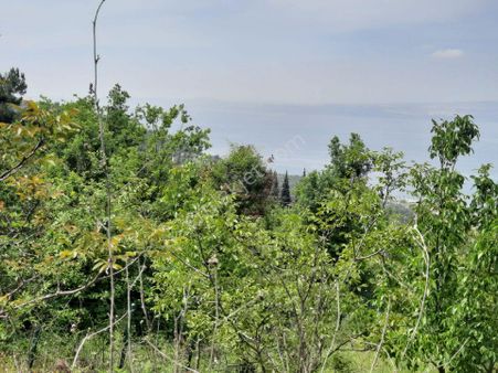 Ulasli'da Ful Deniz Manzarali Imarli Arsa 853 M2