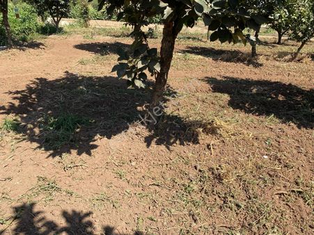 Turgutlu Yenıköyde Köyiçi İmarlı Satılık Arsa