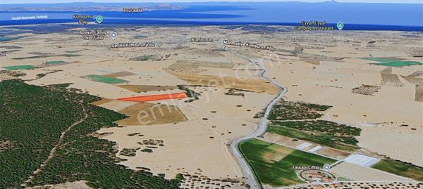 Çanakkale Ezine'de,türkiye'nin Dev Holdingi İle Ortak Olma Şansı